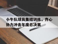 乐鱼官网-包含小牛队球员集结训练，齐心协力冲击年度总决赛的词条