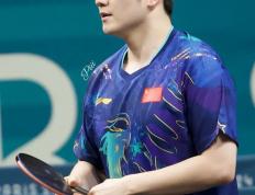 乐鱼体育-关于波兰乒乓球队完胜瑞典乒乓球队，樊振东打破历史纪录的信息