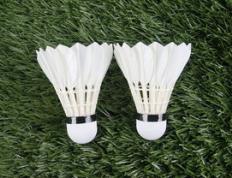 乐鱼官网-马来西亚羽毛球队完胜法国羽毛球队，桃田贤斗送出助攻