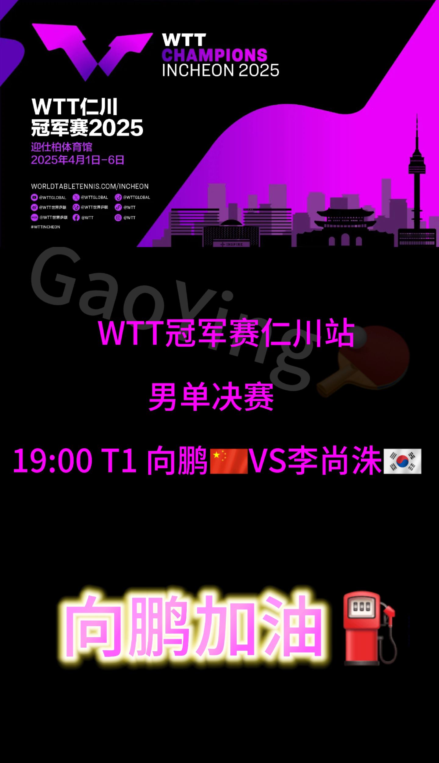 乐鱼体育app-包含选手们全力以赴，为国争光展现实力的词条