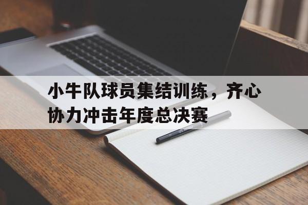 乐鱼官网-包含小牛队球员集结训练，齐心协力冲击年度总决赛的词条
